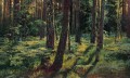 森の中のシダ シヴェルスカヤ 1883 古典的な風景 イワン・イワノビッチ